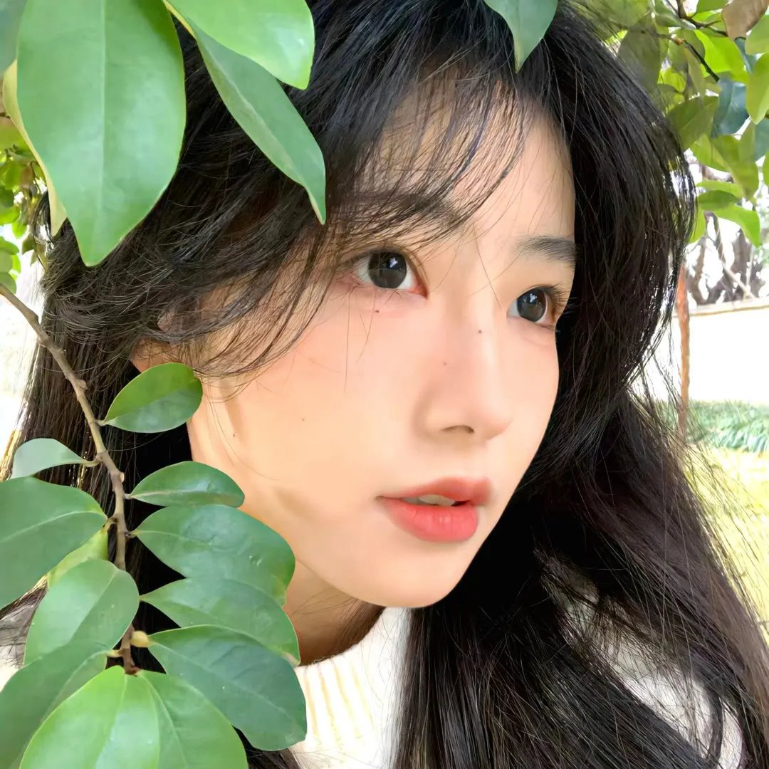 公司业务