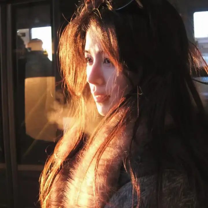不死鸟之恋